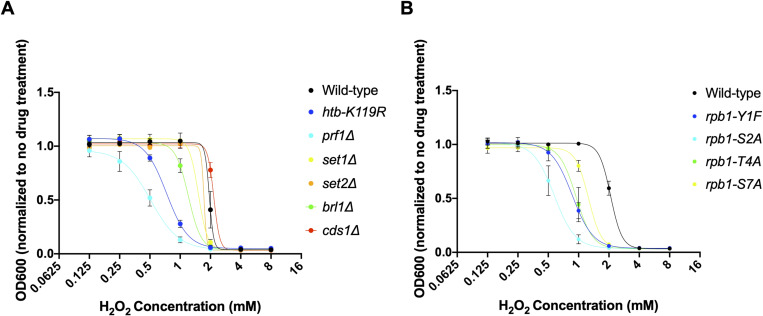Figure 17