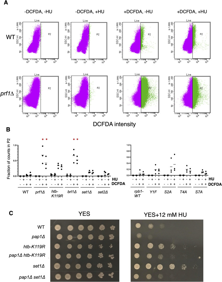 Figure 18