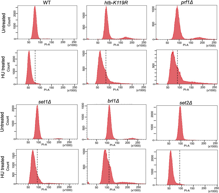 Figure 20