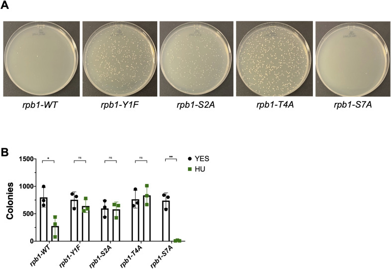 Figure 22