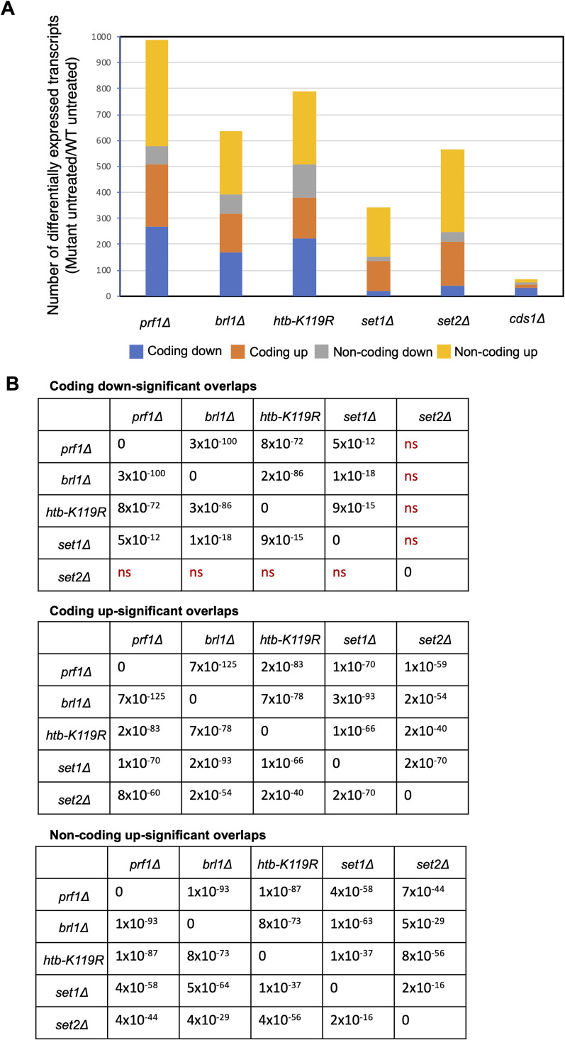 Figure 26