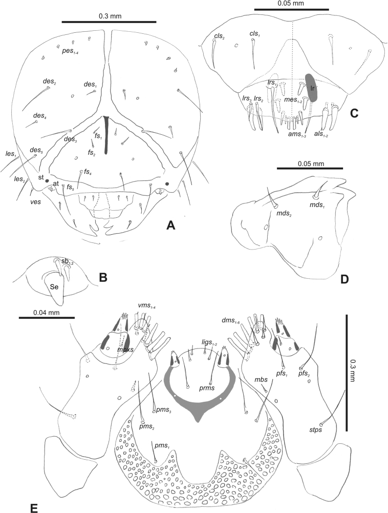 Figure 7