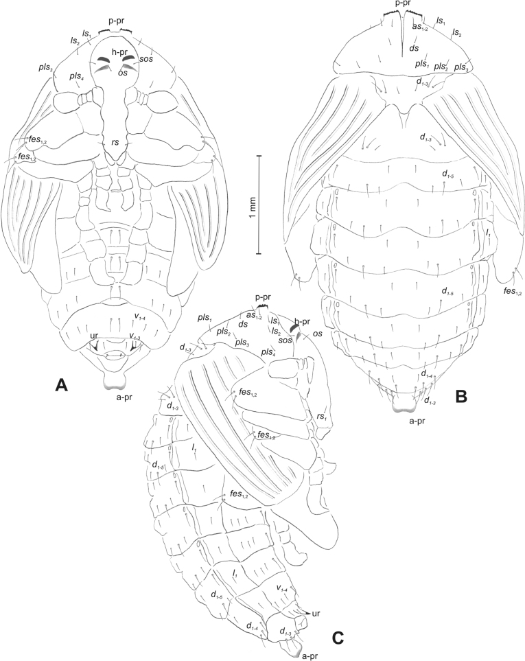 Figure 10