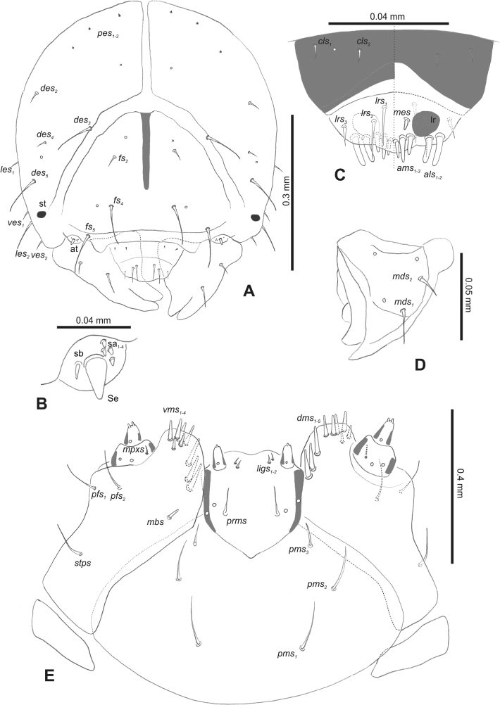 Figure 12