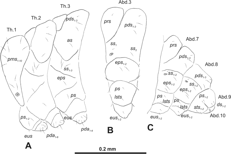 Figure 13