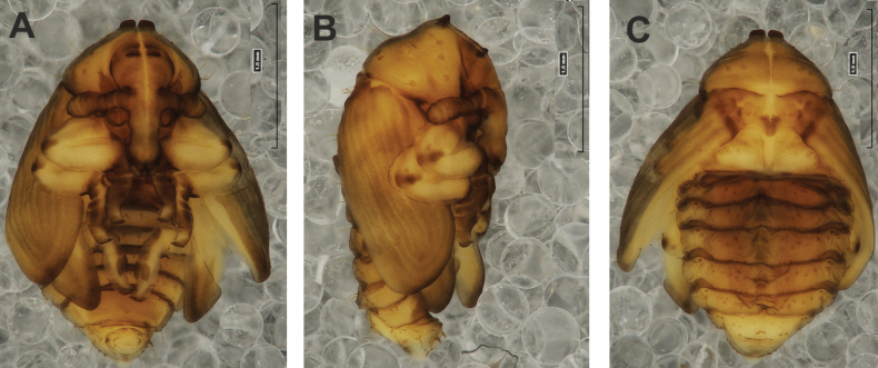 Figure 14