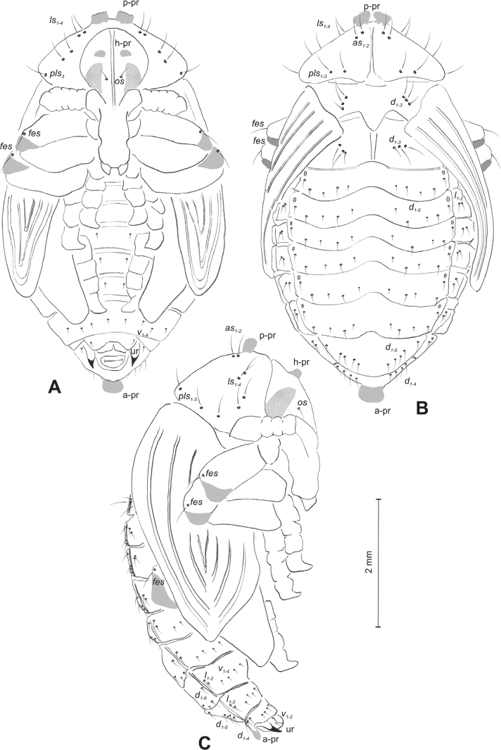Figure 15