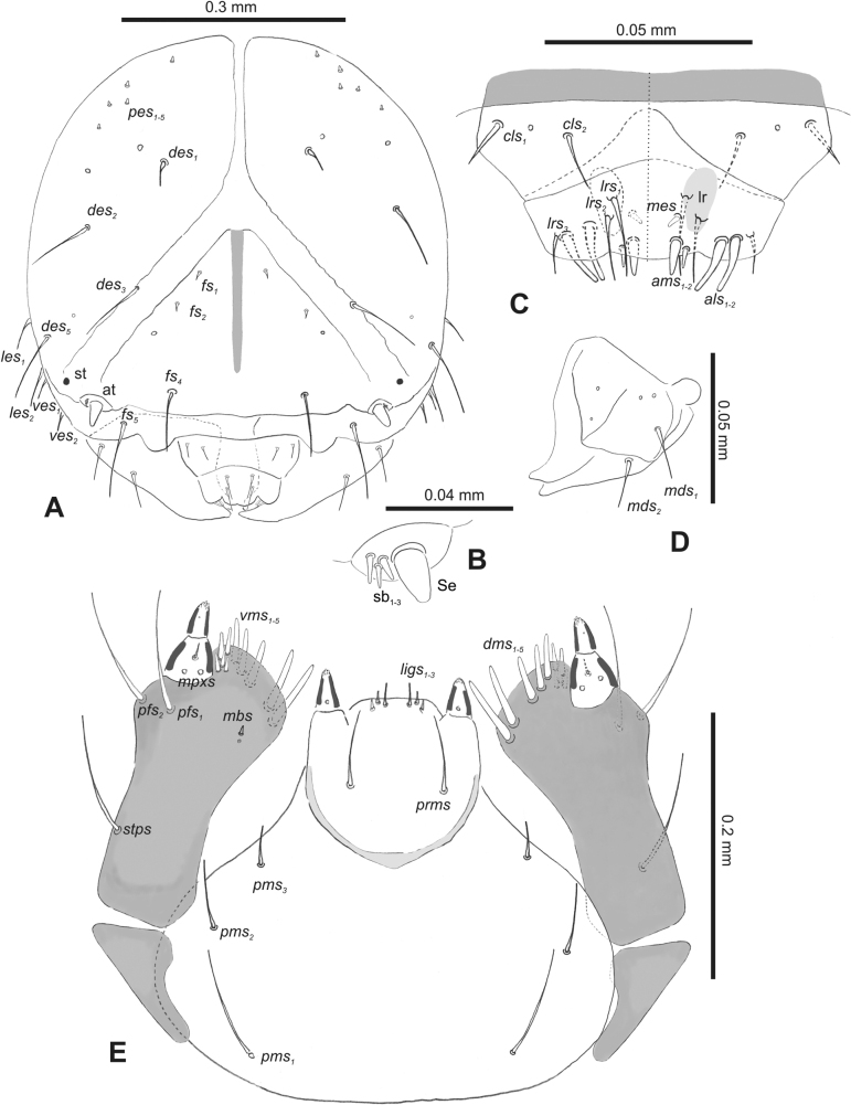 Figure 17