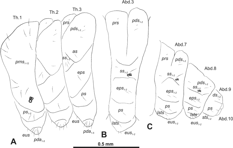 Figure 18