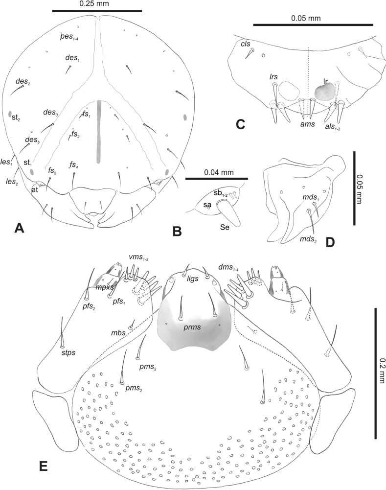 Figure 22