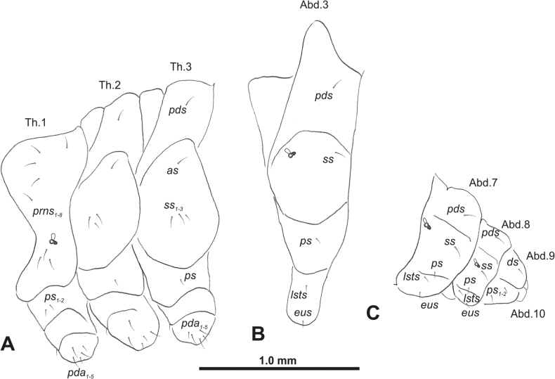 Figure 23