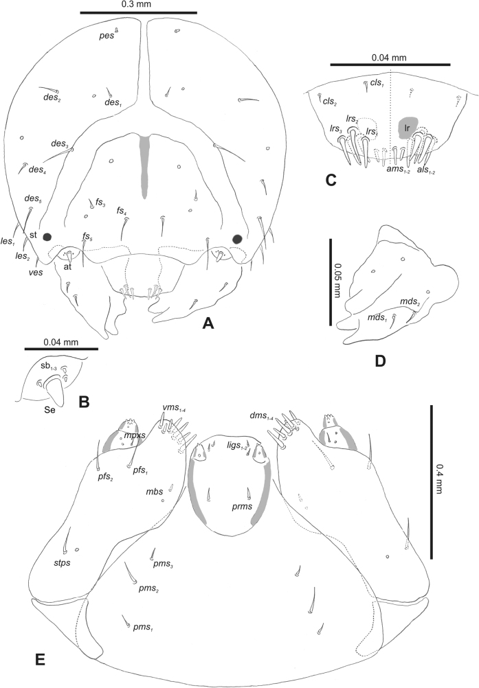 Figure 27