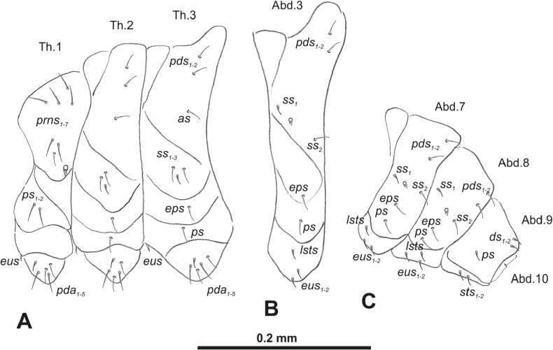 Figure 28