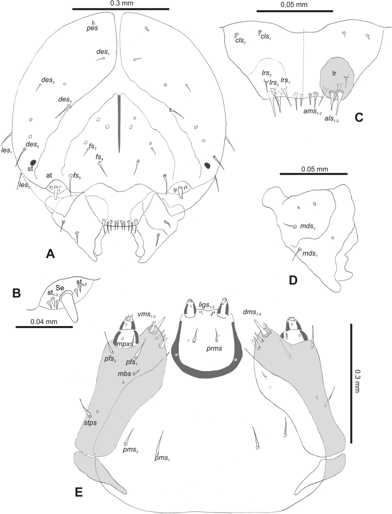 Figure 32