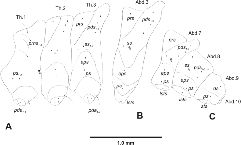 Figure 33