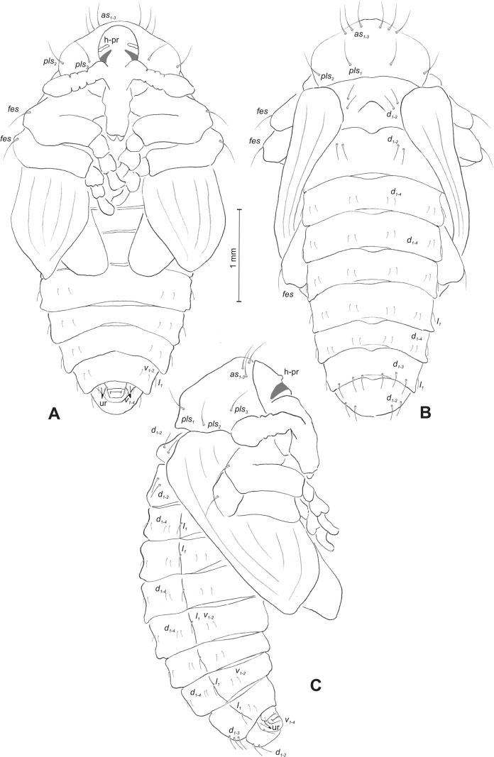 Figure 35