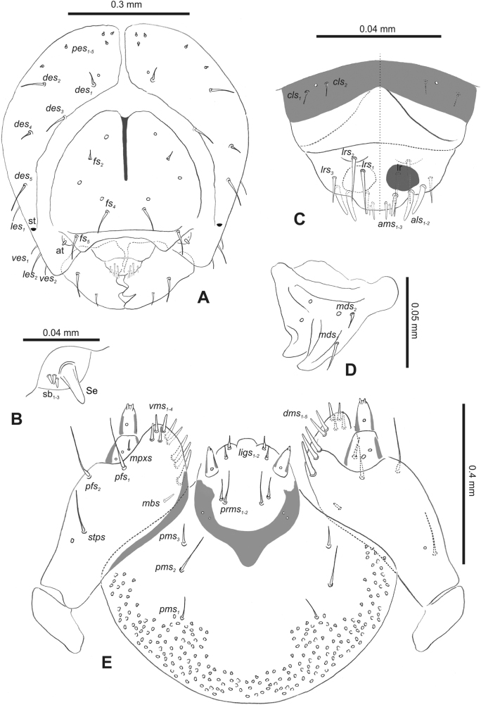 Figure 37