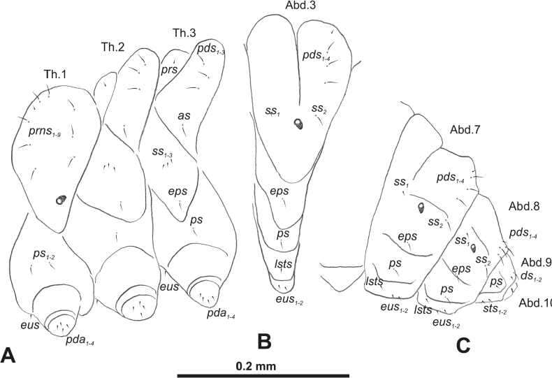 Figure 38