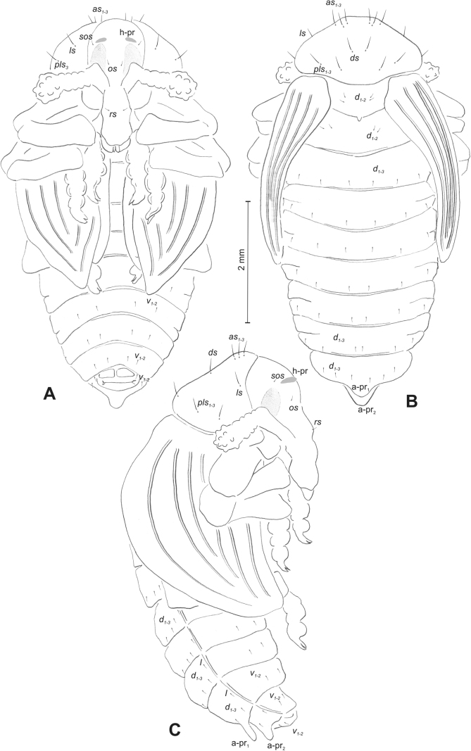 Figure 40