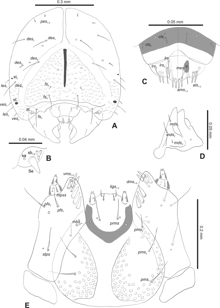Figure 42