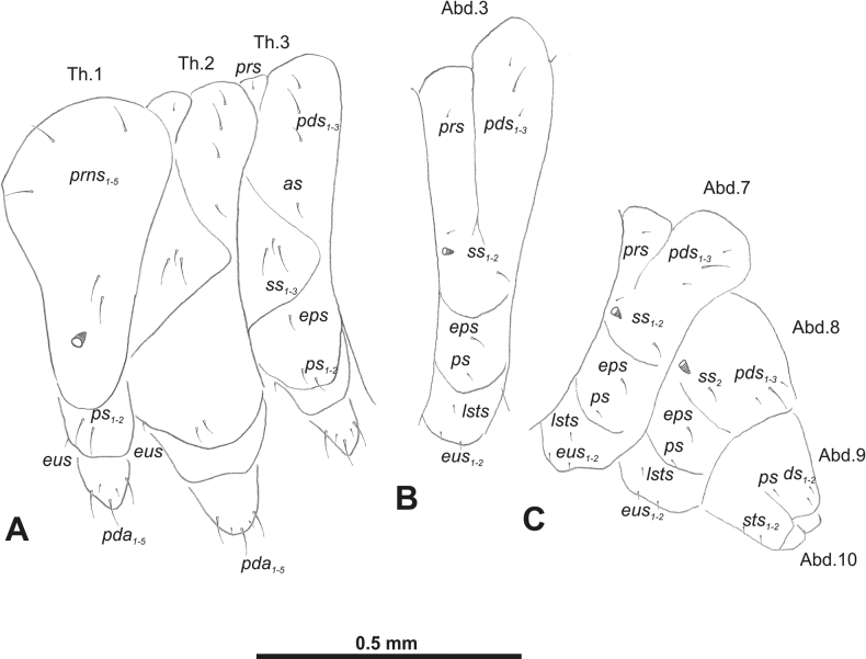 Figure 43