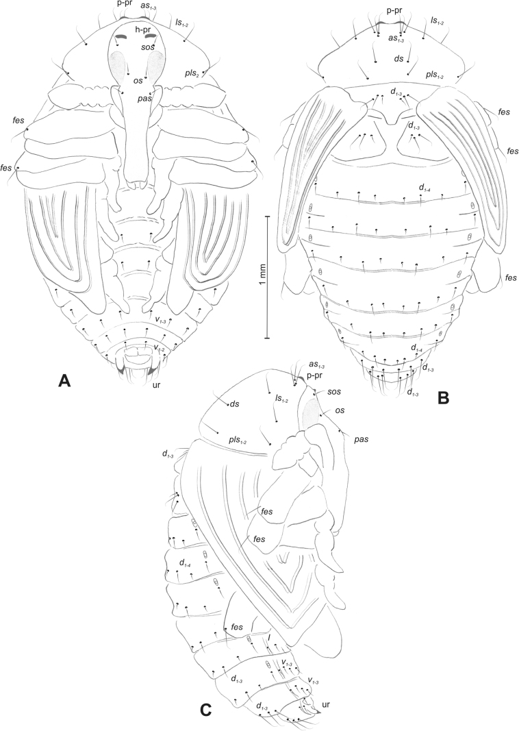 Figure 45