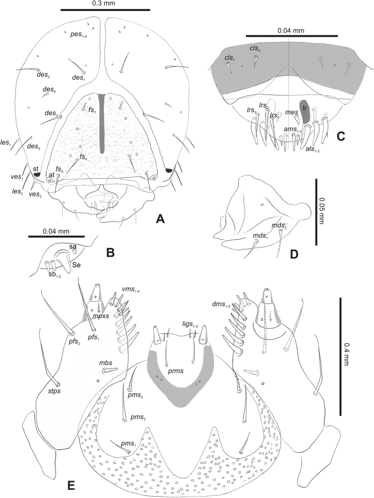 Figure 47