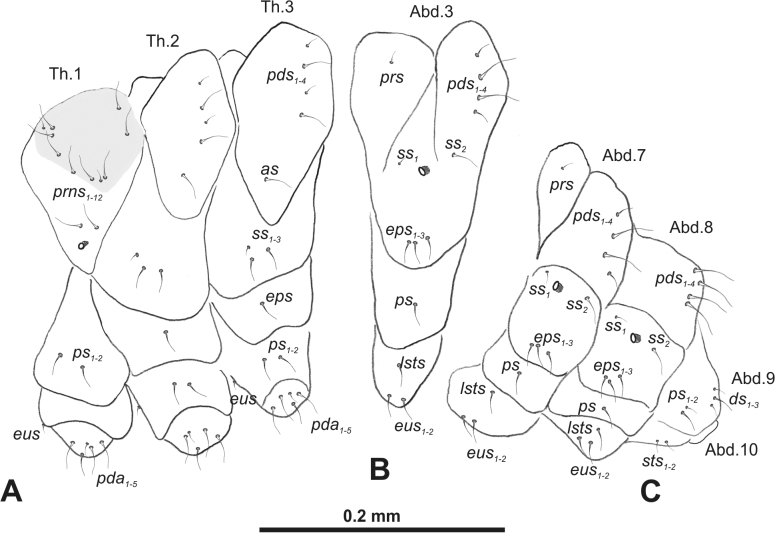 Figure 48