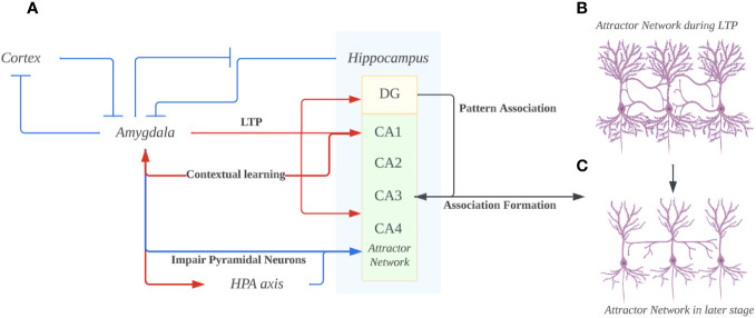 Figure 2