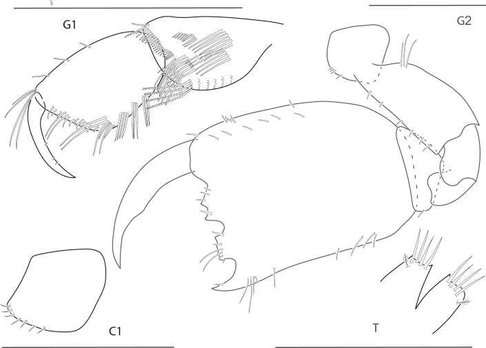 Figure 12