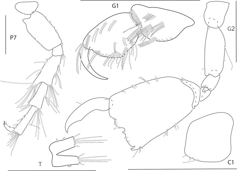 Figure 13