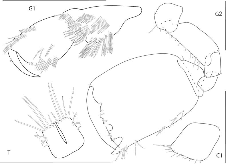Figure 14