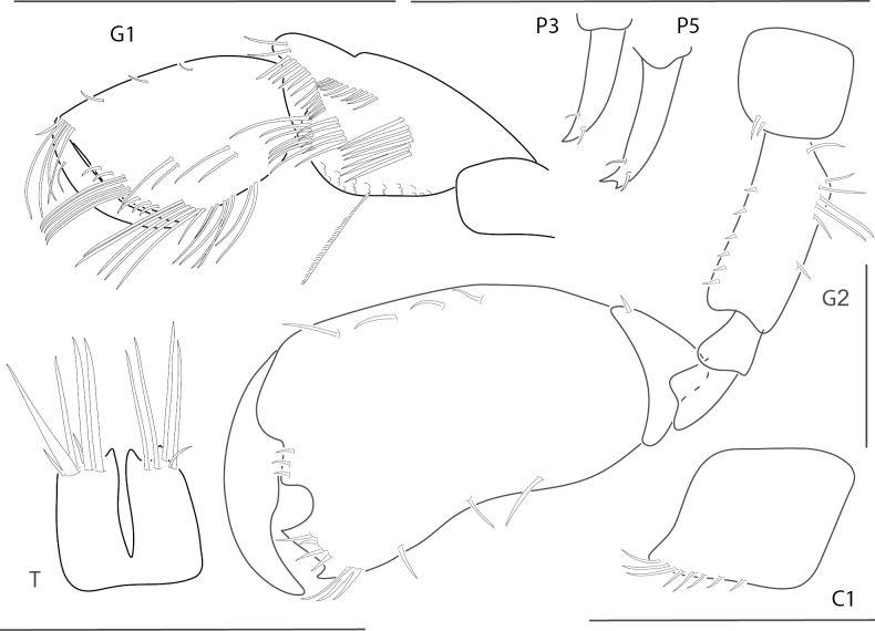 Figure 15