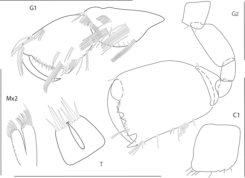 Figure 16