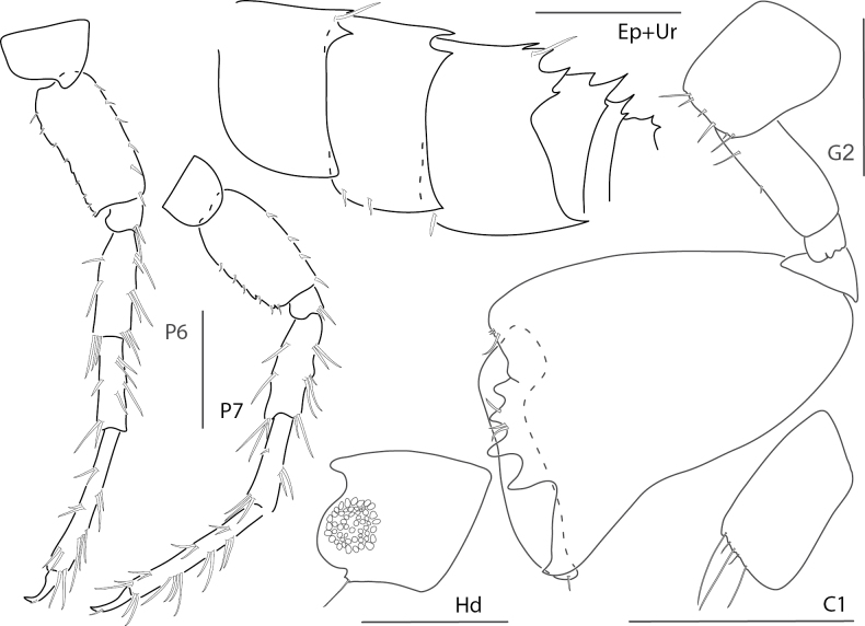 Figure 18