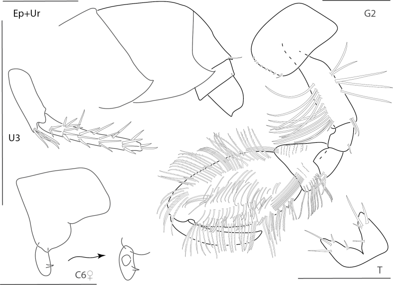 Figure 19