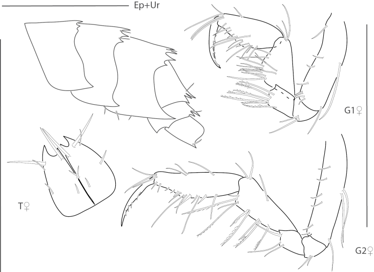 Figure 20