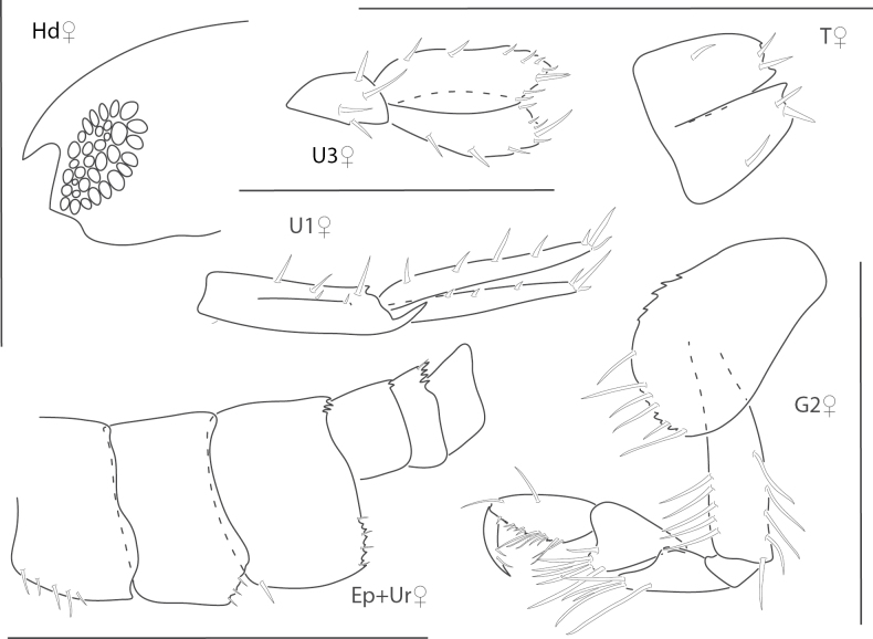 Figure 22