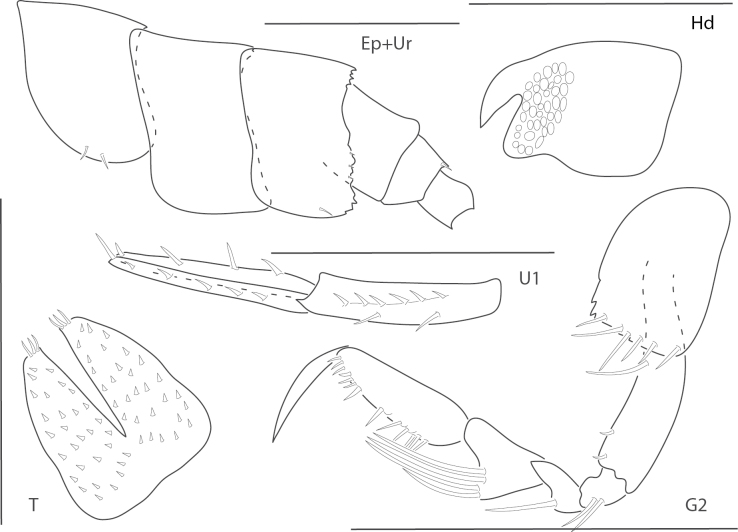 Figure 23