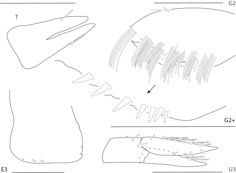 Figure 24