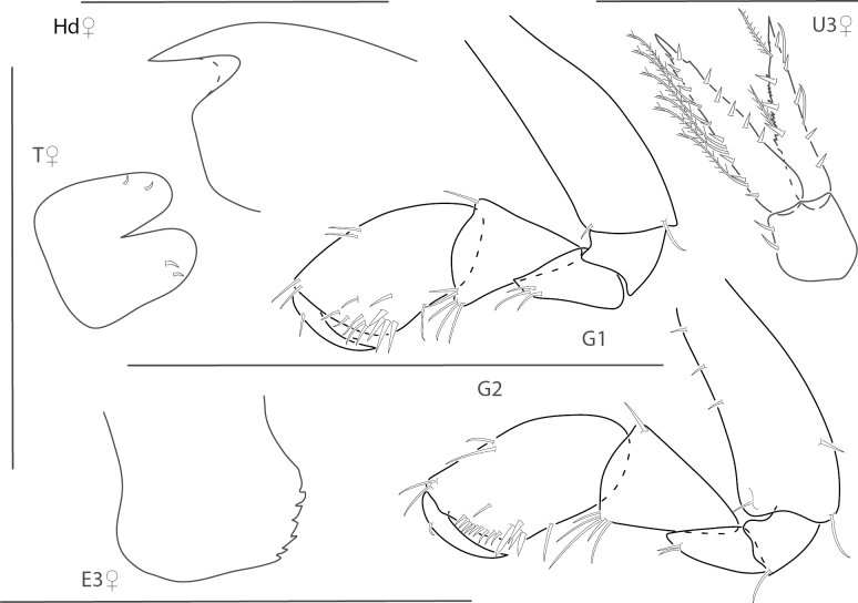 Figure 25