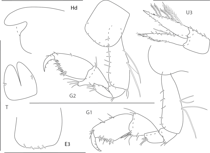 Figure 26