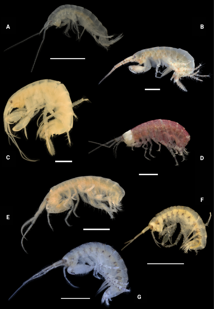 Figure 27