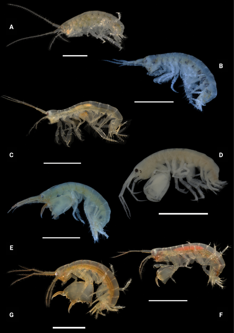Figure 28