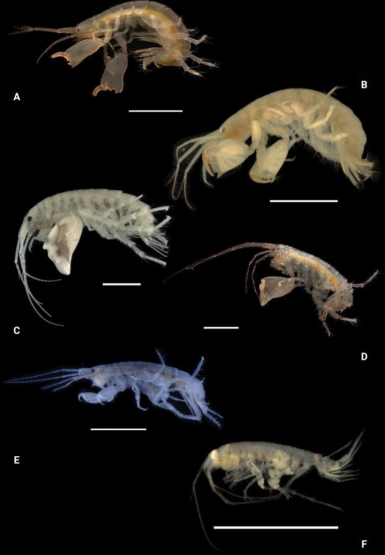 Figure 29