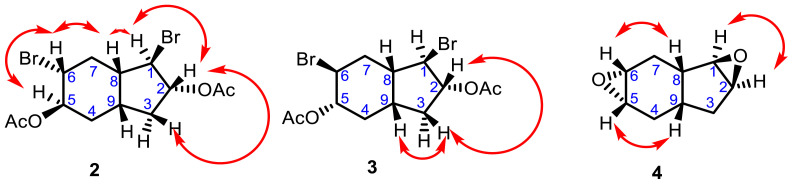 Figure 8