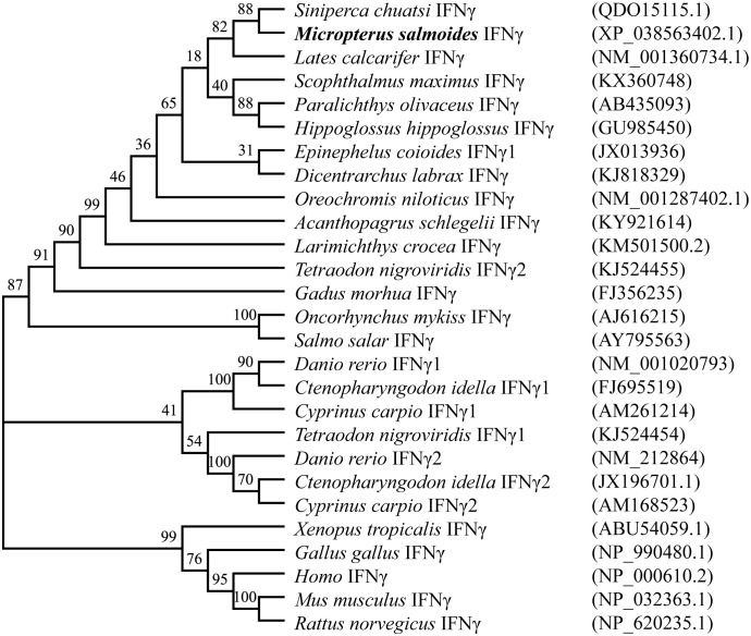 Figure 2