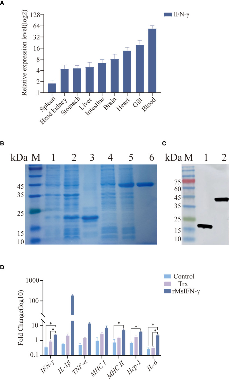 Figure 3