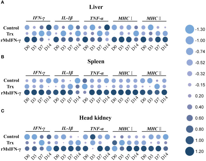 Figure 6