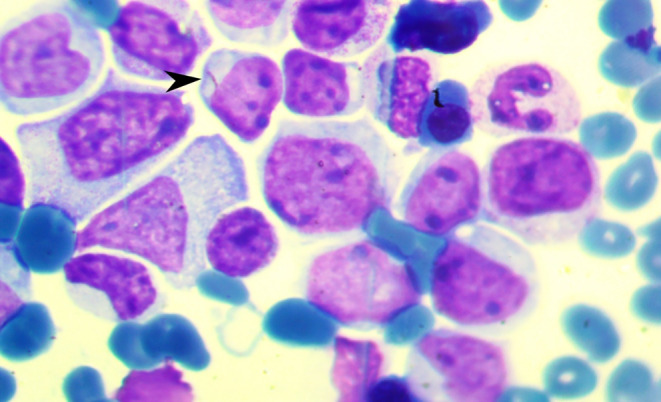 FIGURE 1